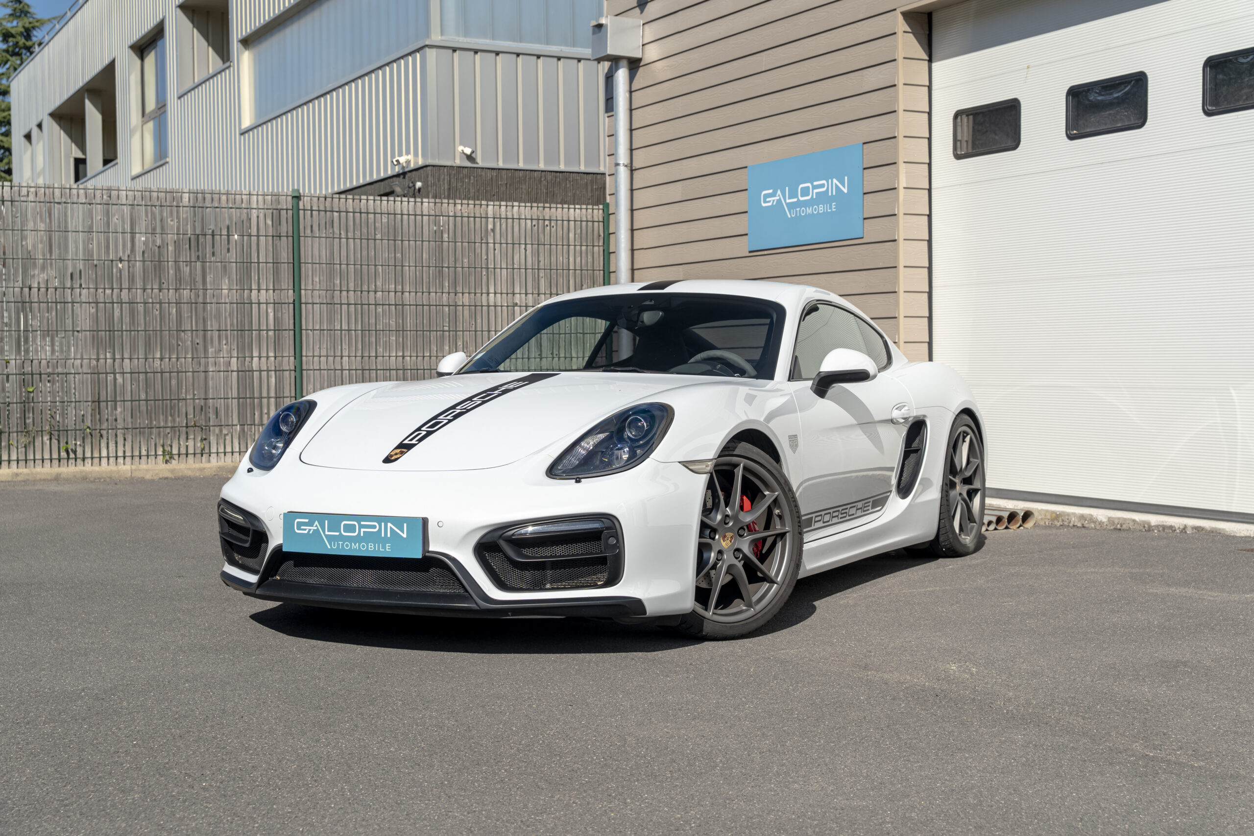 PORSCHE CAYMAN GTS (981)